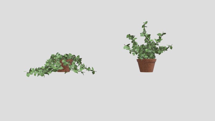 Plant 3D Model
