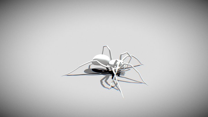 Spider 3D Model