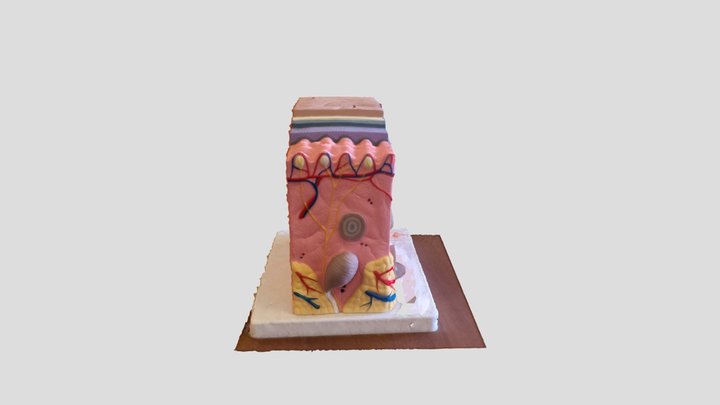 PeleSBD 3D Model