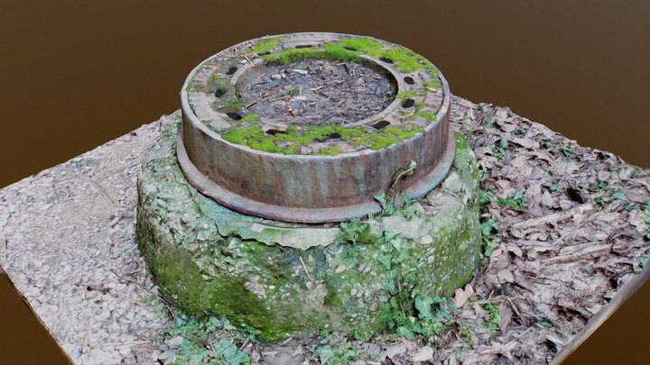 Mossy Sewer Manhole In Forest 3D Model