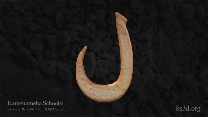 Fishhook 3D models - Sketchfab