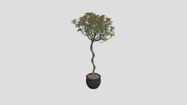 Potted Tree – Gratis 3D-model STL