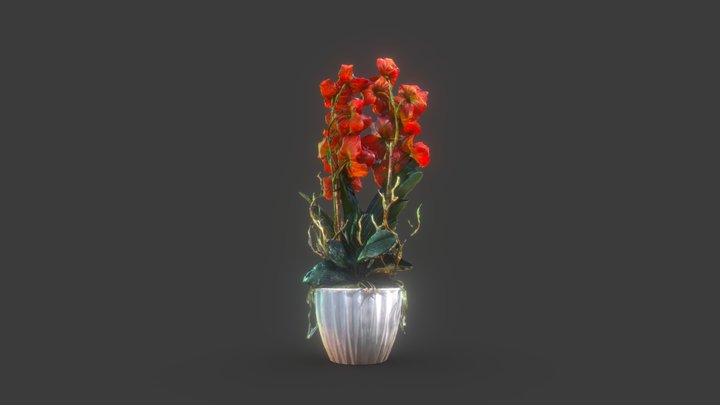 161 3D Model