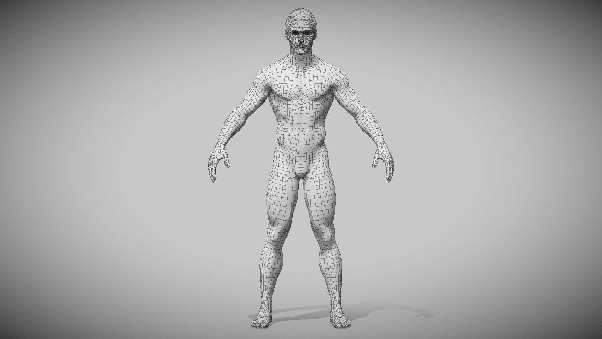 Female Custom Base Mesh 3d Model