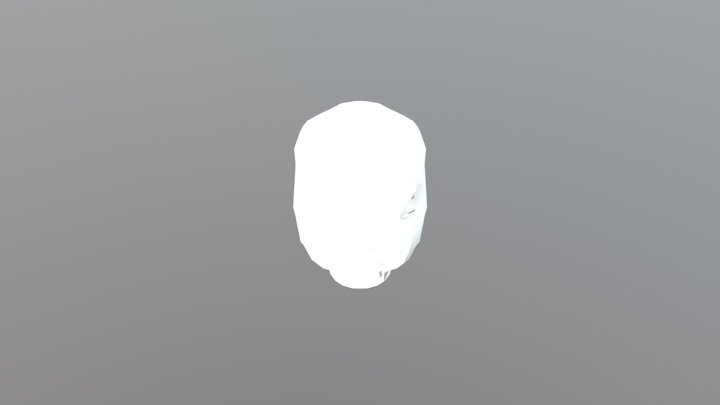 Human Face 3D Model