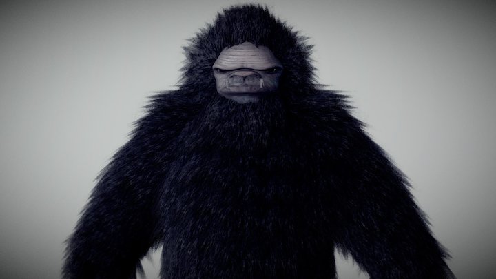 Mr. Whiskers 3D Model