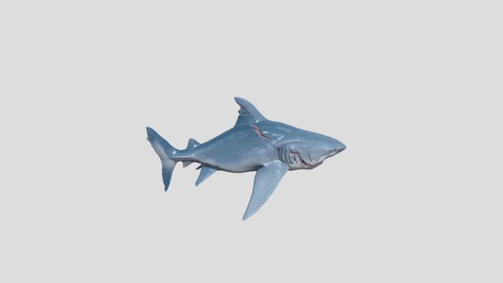 magic3d_pbr_model_6f7d9bd0-30b2-4025-8ddb-46da21
