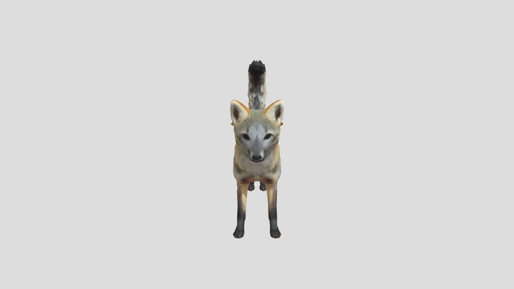 Crab-Eating Fox – Modello 3D gratuito STL