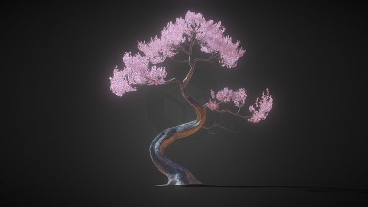 Tree 3D Model