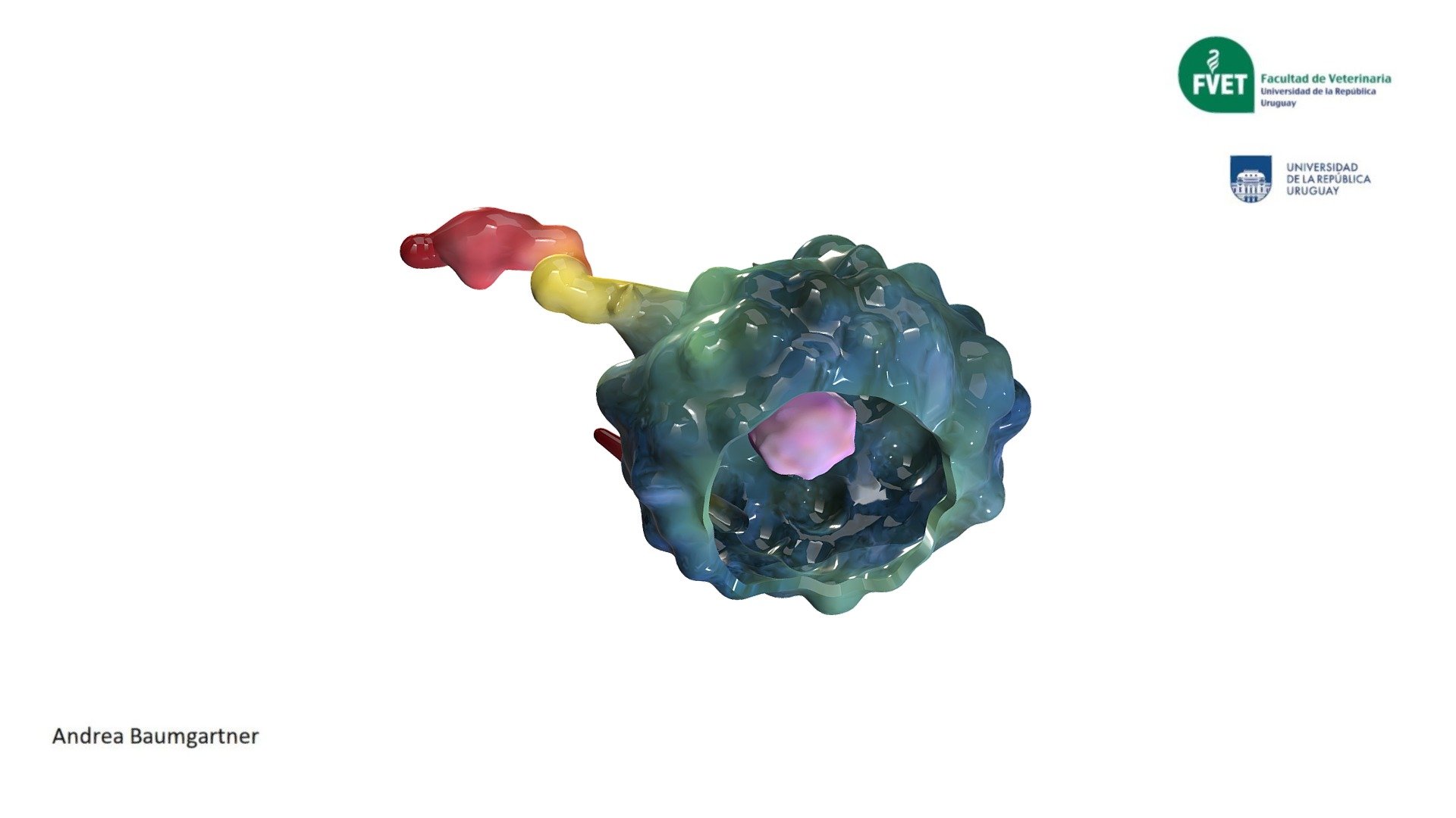 Cell