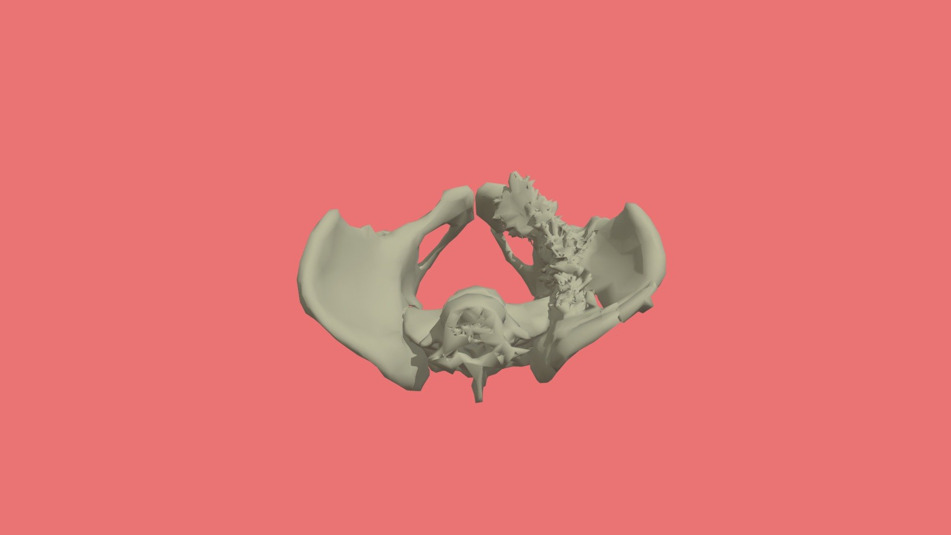 Pelvis DP