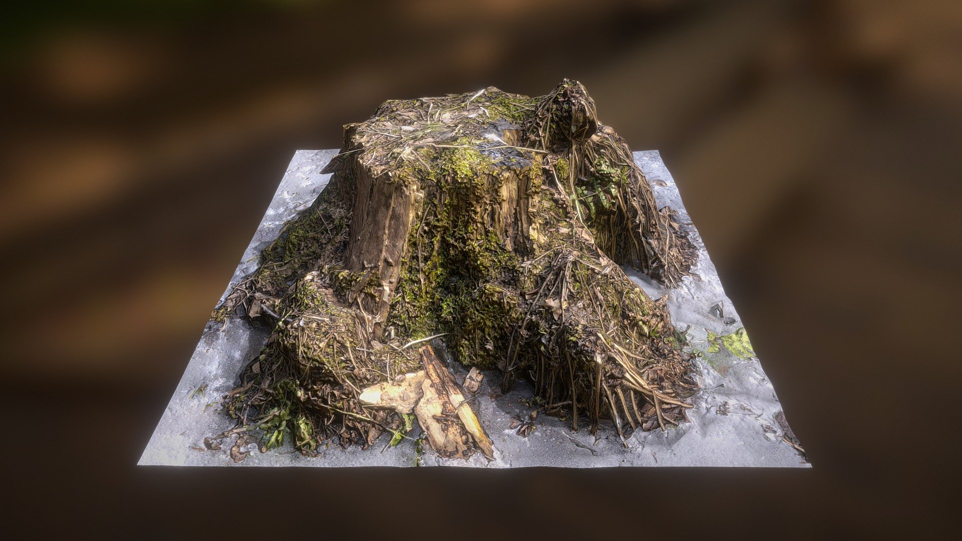 Stump 4