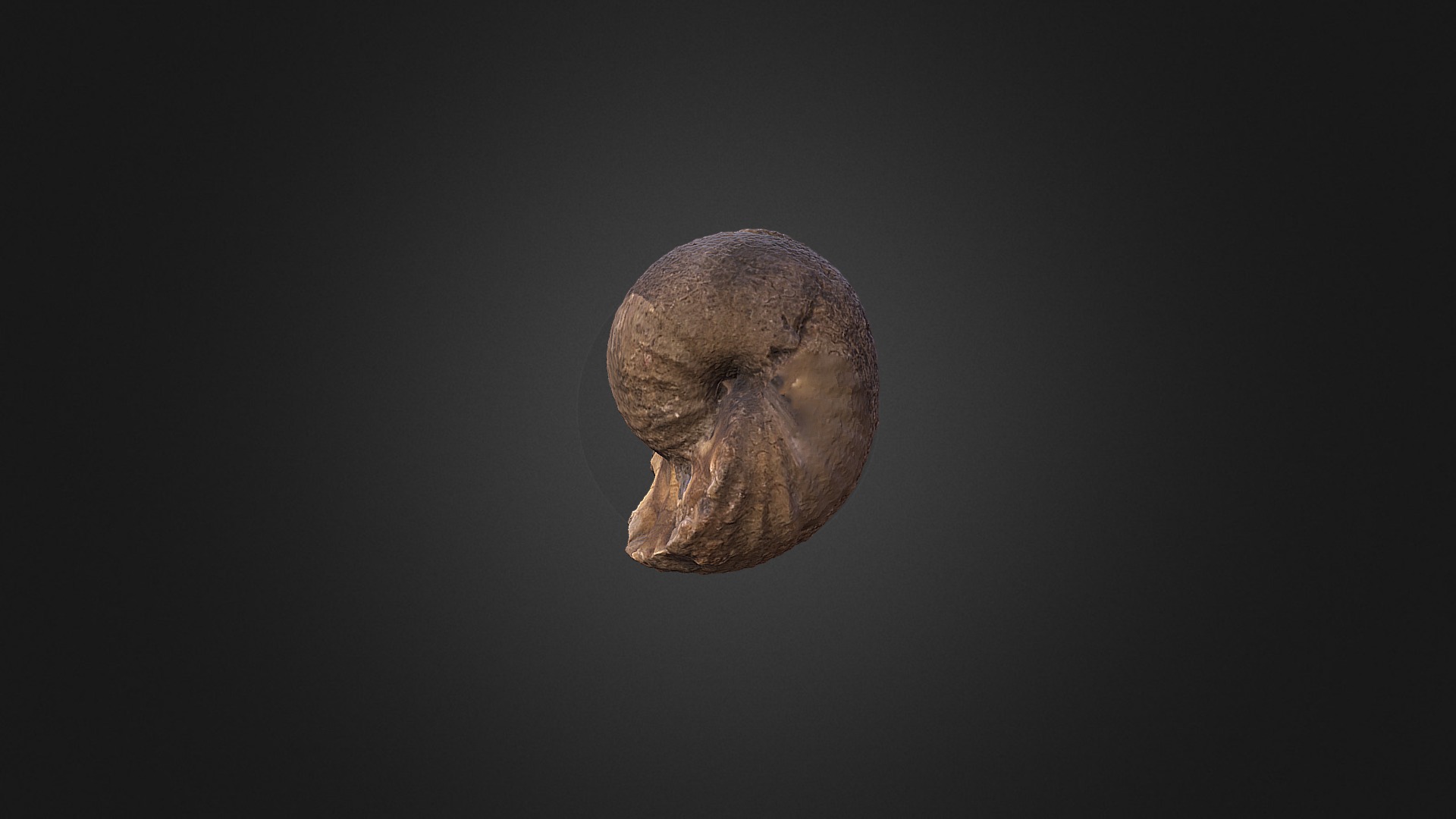 3D model Clioscaphites montanensis - This is a 3D model of the Clioscaphites montanensis. The 3D model is about a close up of a moon.