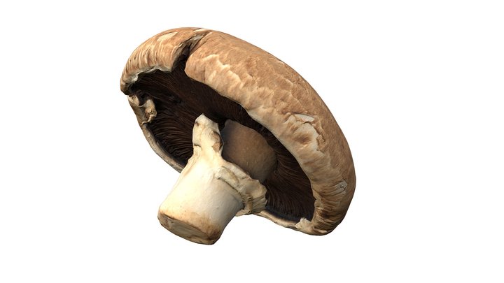 Portobello Mushroom – Free 3D Model STL
