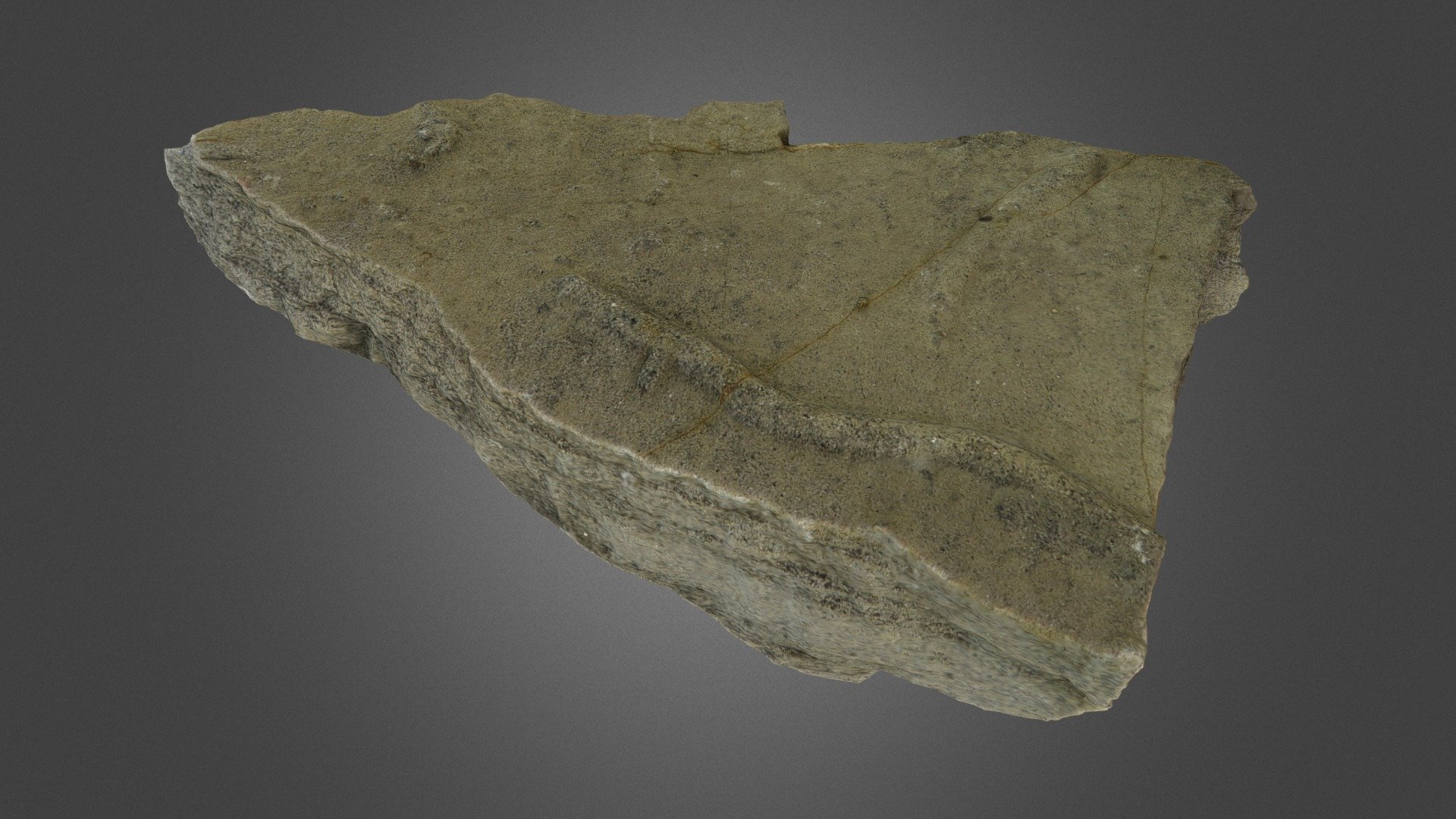 Trace fossils, Italy