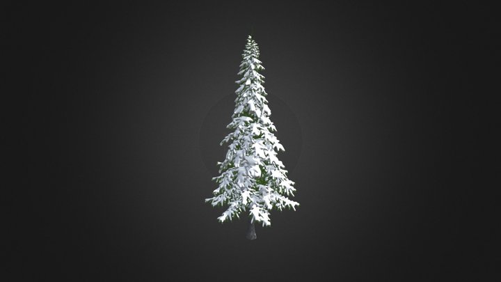 Fir Tree with Snow 3D Model 7m 3D Model