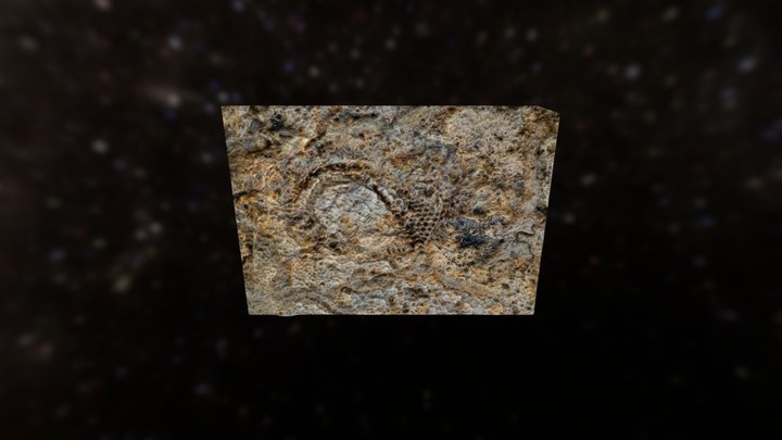 The Ancient 3D Model