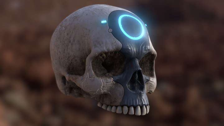 Halo Infinite Oddball 3D Model