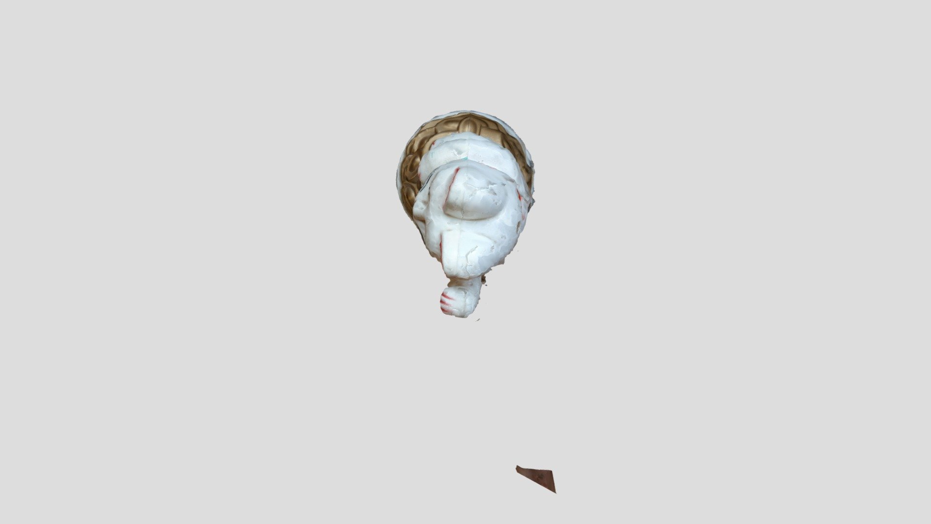 gato