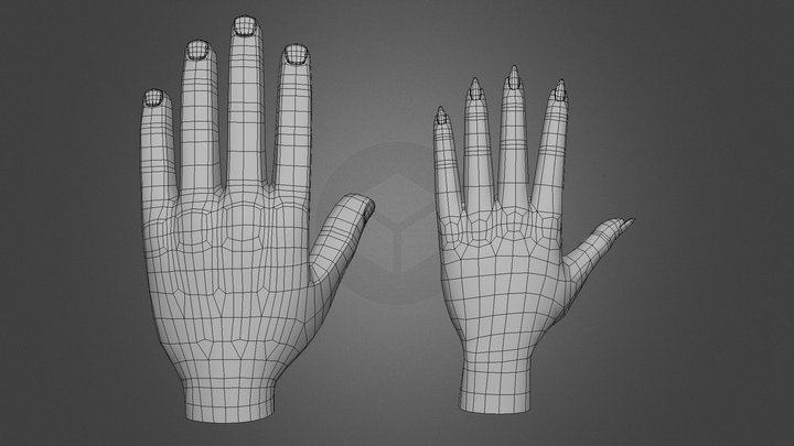 Stylized character hands base mesh 3D Model