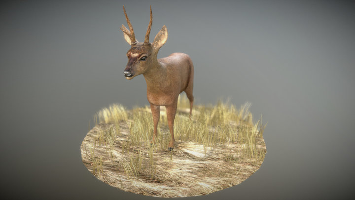 Huemul 3D Model