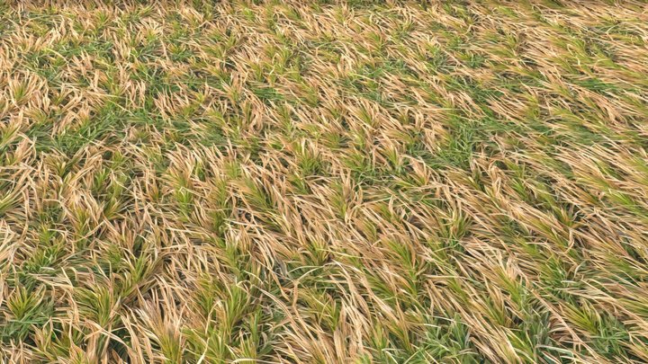 Soil full of dry rough grass – Modello 3D gratuito STL