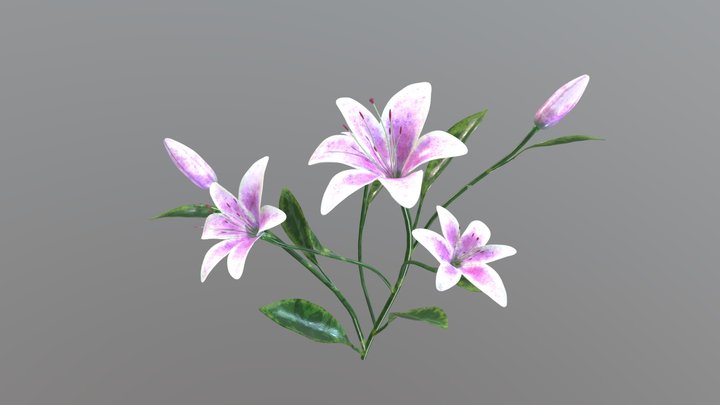 Purple lilies – Free 3D Model STL
