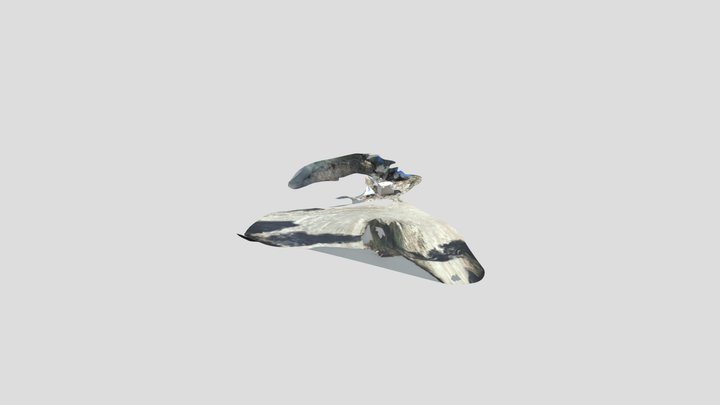 Marble cube Skfb 3D Model