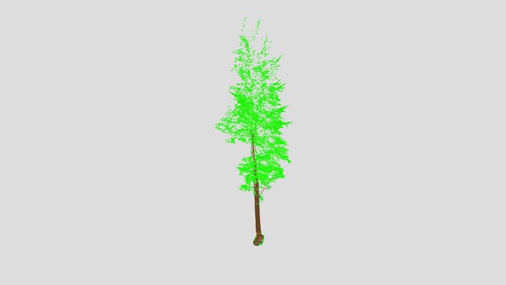 Povestea fagului de pe Negraș 3D Model