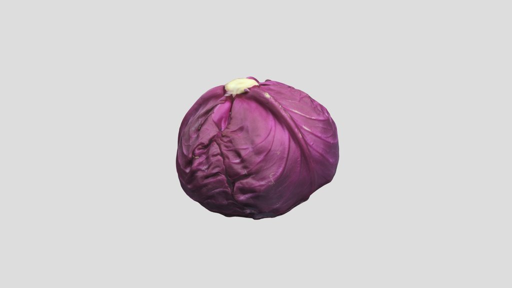 Scanned Cabbage