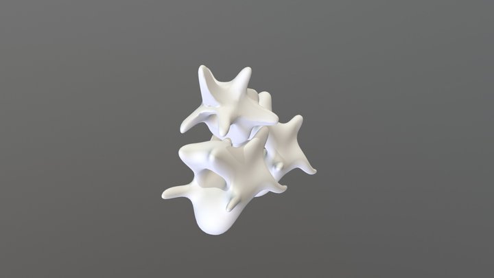 Chimera Colonna Vertebrale 3D Model