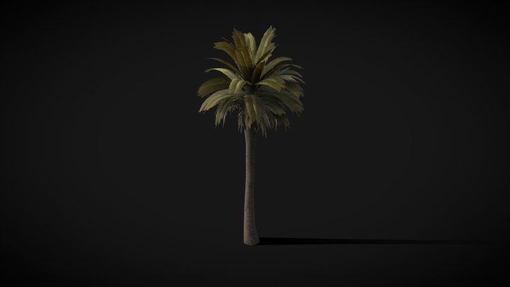 Palm Tree 3D model - SF City Props & vegetation 3D Model