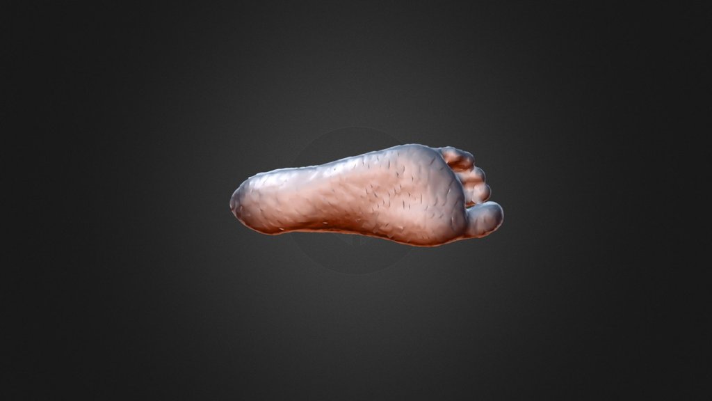 Foot Scan with Structure Sensor - 3D model by Structure (@structure3d ...