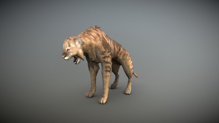 Khajiit 3d Models Sketchfab