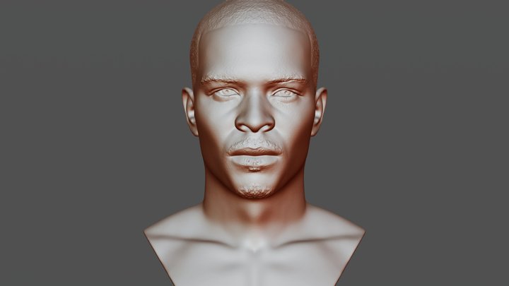 TI rapper bust for 3D printing 3D Model