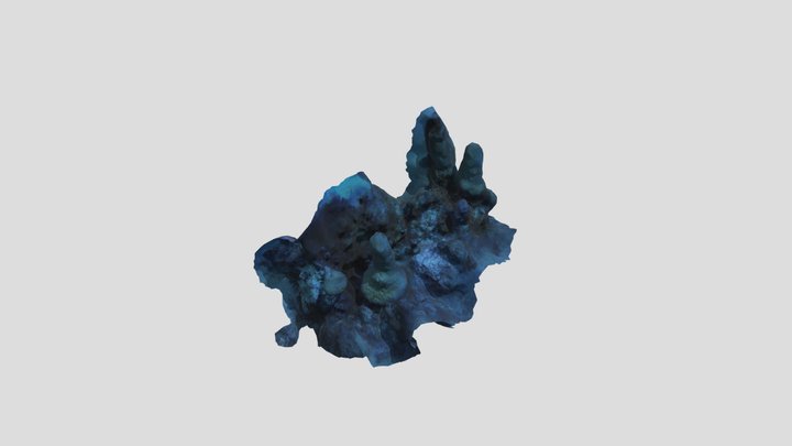 Bush Gardens 1 3D Model
