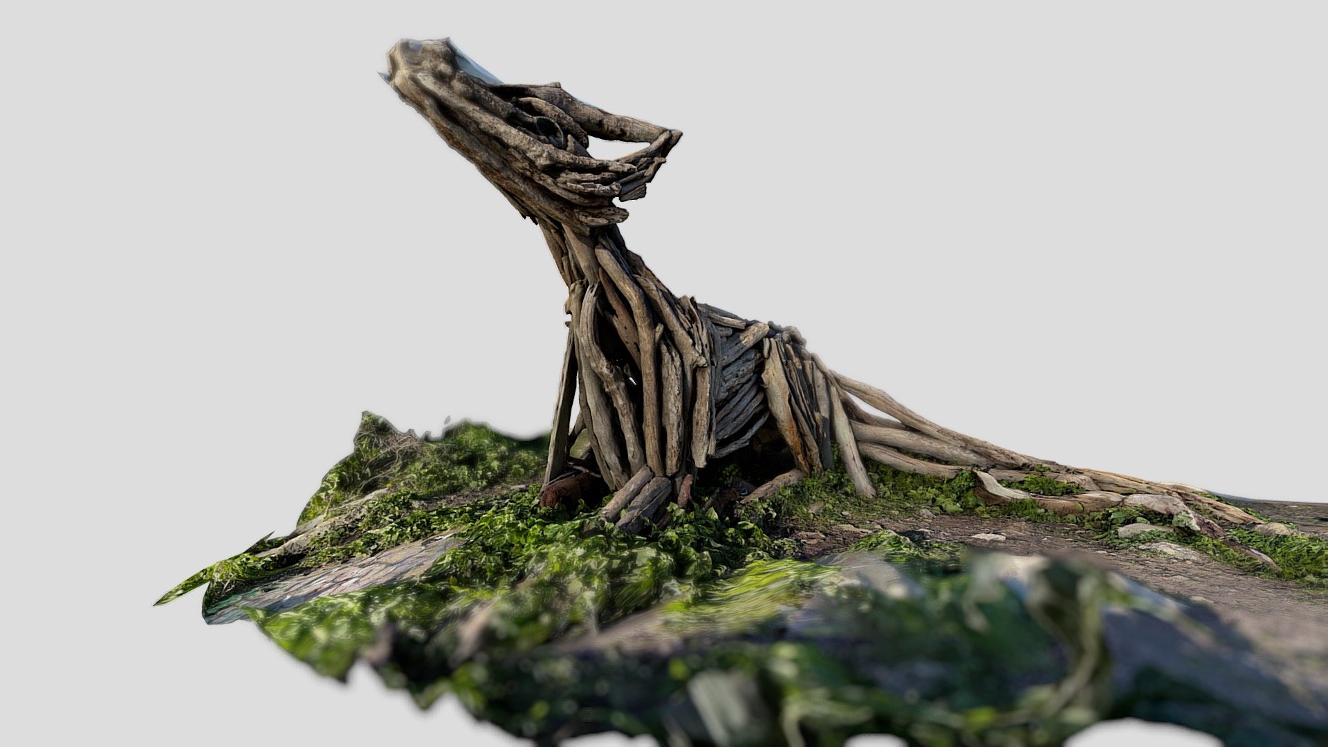 41: Wooden Dragon