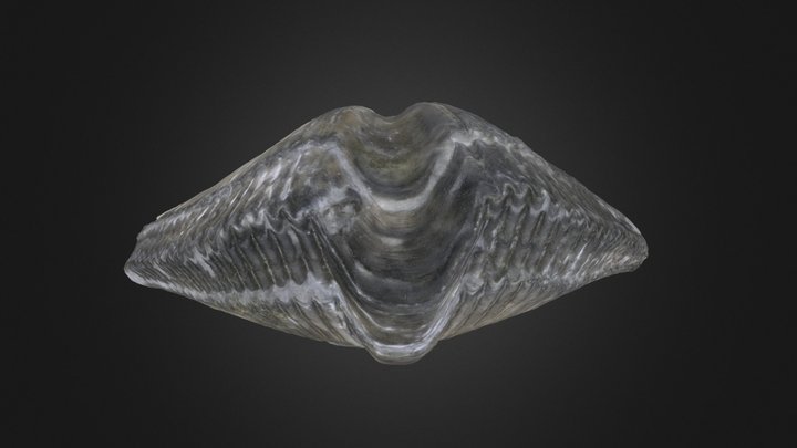Brachiopod: Mediospirifer audaculus (PRI 70767) – Gratis 3D-model STL