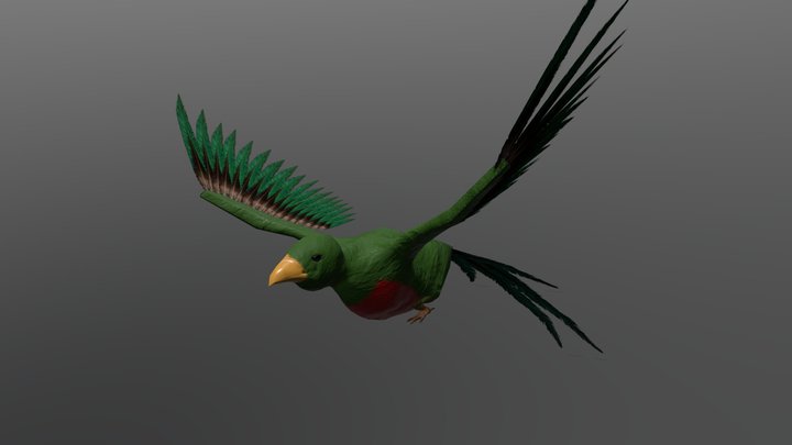 Quetzal Animation & Texture Test 3D Model