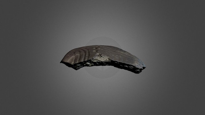 Capeducola170 3D Model
