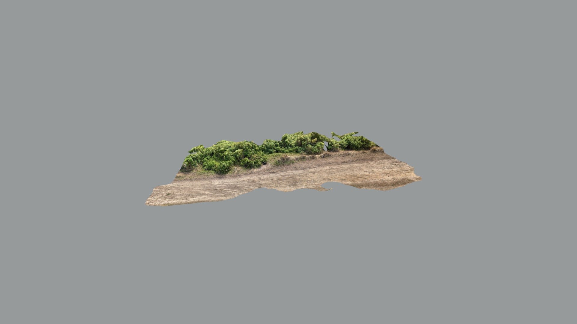 Quarry track, sandstone and typical vegetation