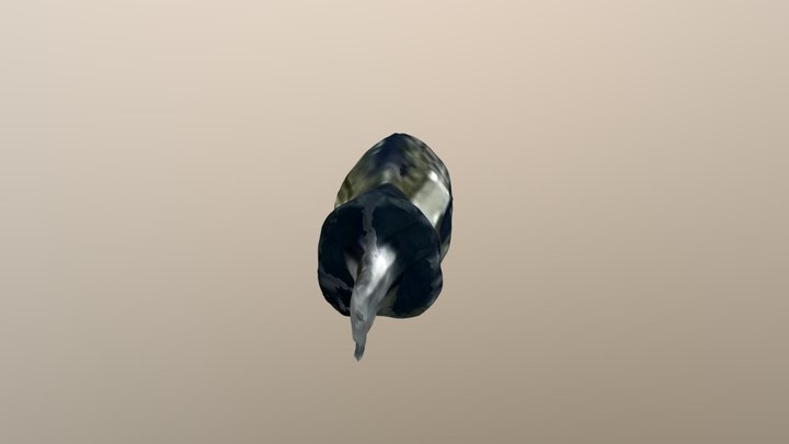 New Qlone 3D Model