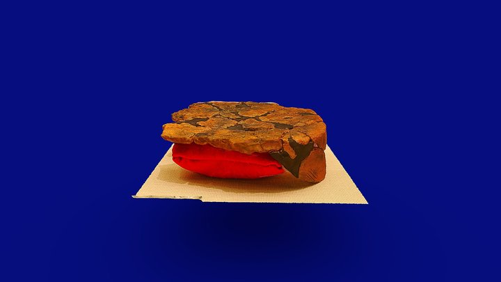 土器底部の網代痕　観察記録3Dモデル – Free 3D Model STL