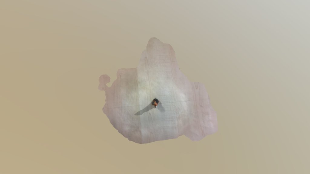 A test