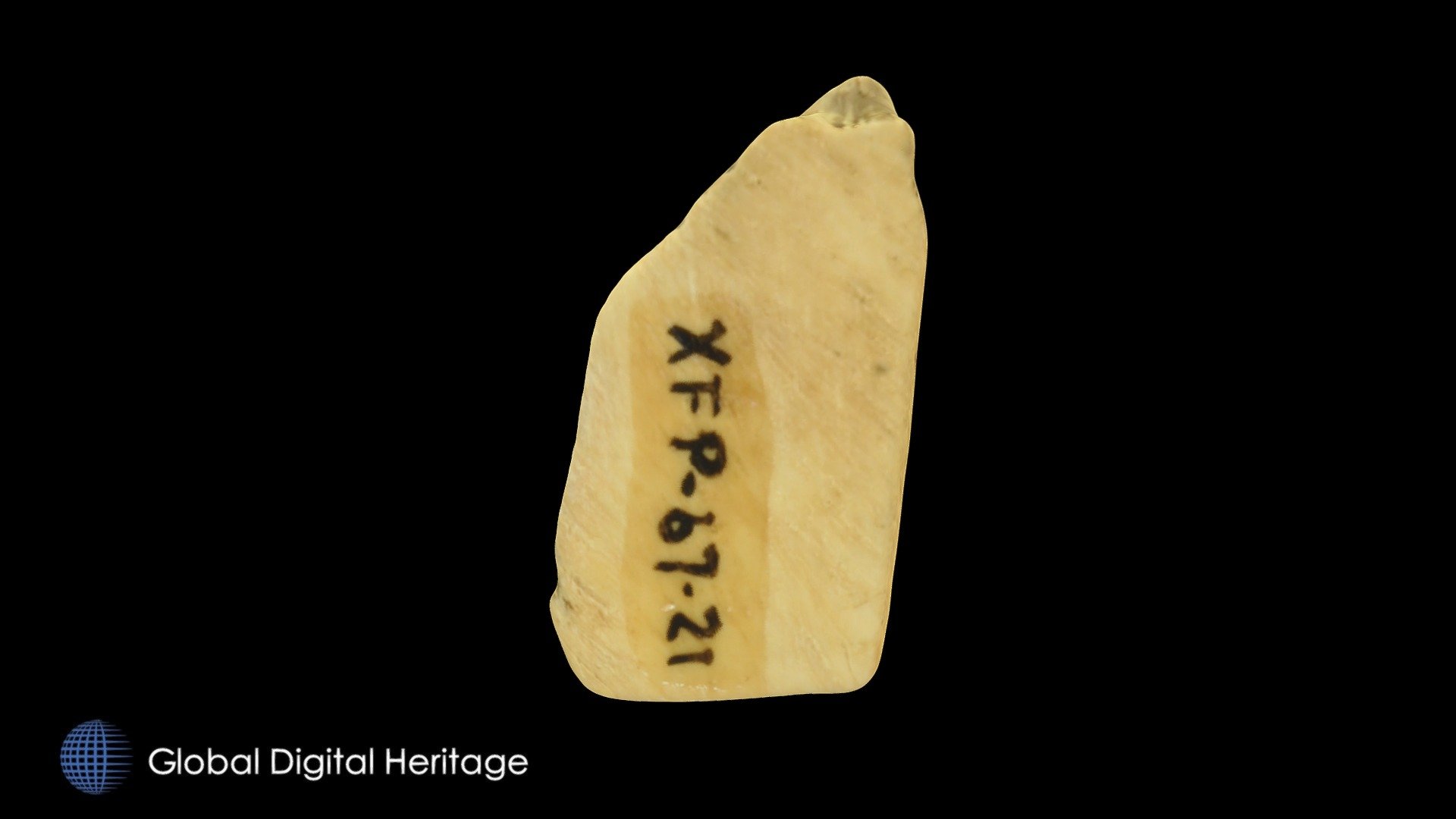 XFP-067  ivory fragment. Sanak Island, Alaska