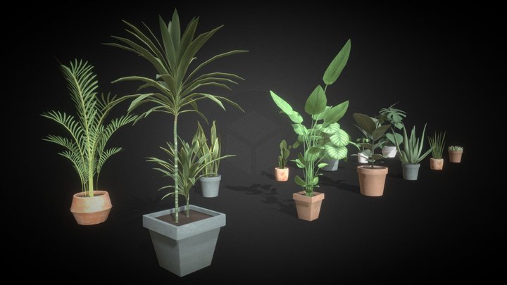 Houseplants 3D Model