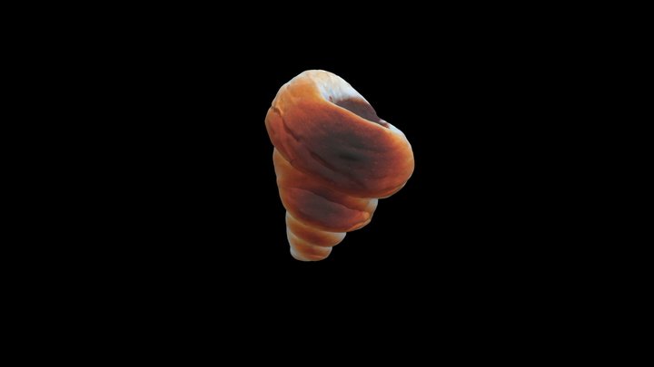 초코소라빵 3D Model