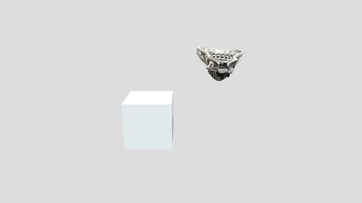 LaxHead 3D Model