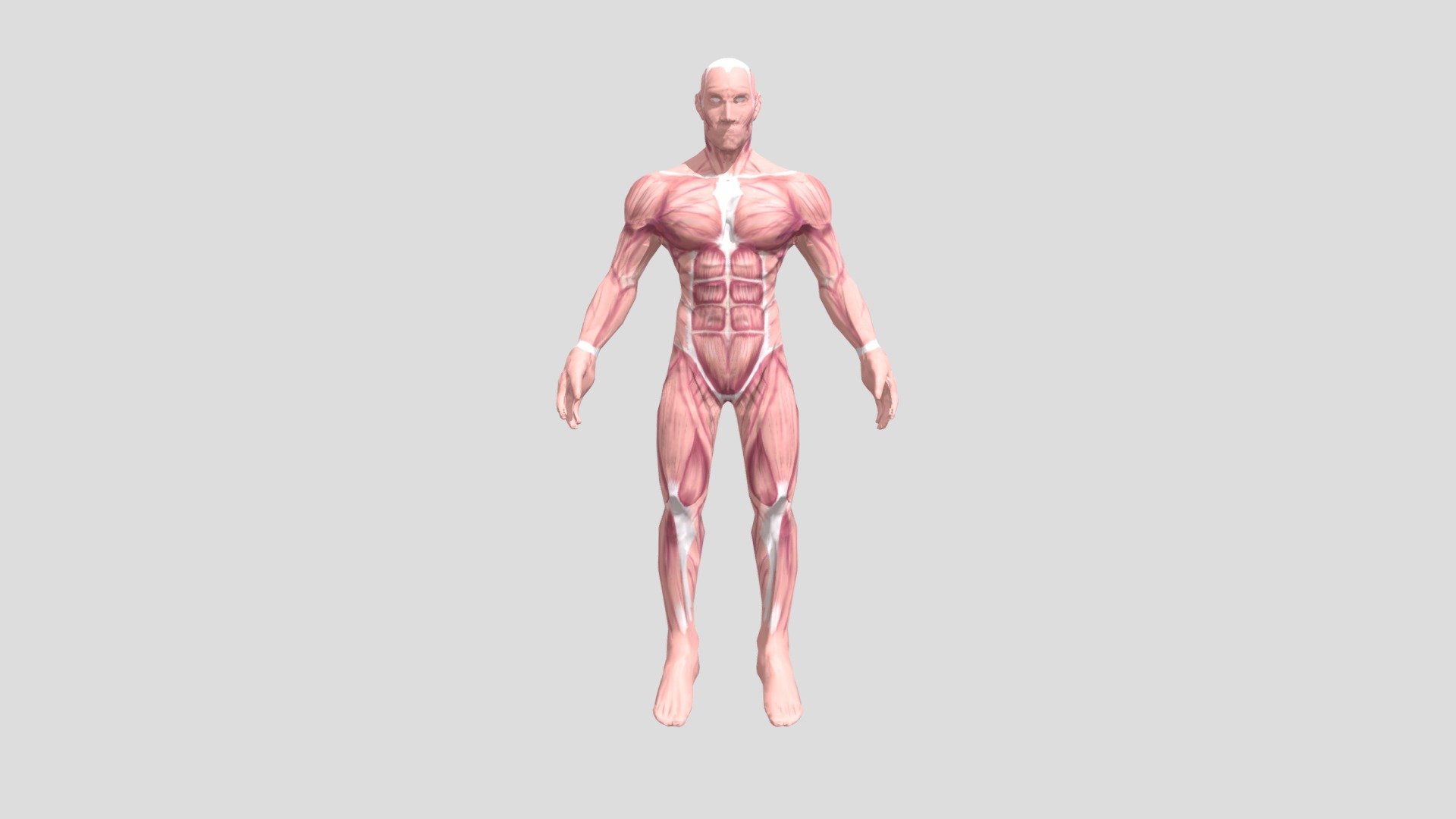 Modelo retopología