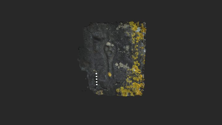 Antropomorfo 3D Model